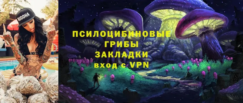 Галлюциногенные грибы MAGIC MUSHROOMS  площадка формула  Анива  МЕГА рабочий сайт 